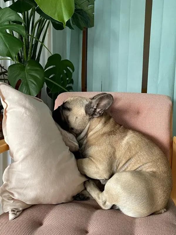 Exploring the city for inspiration