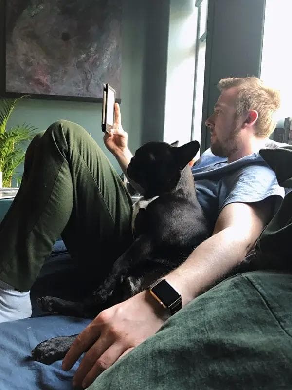 Office companion taking a well-deserved break